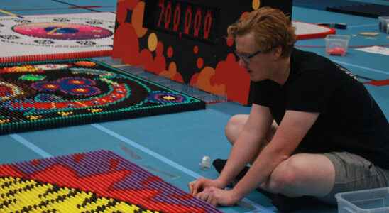 Record attempt in a sports hall in Veenendaal 700000 dominoes