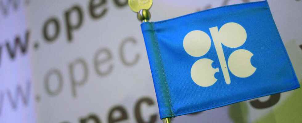 Russia is essential to OPEC according to its secretary