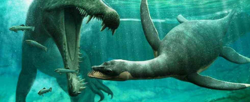 Surprise plesiosaurs also lived in rivers with spinosaurs