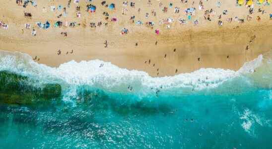 The Mediterranean Sea is too warm and marine biodiversity is