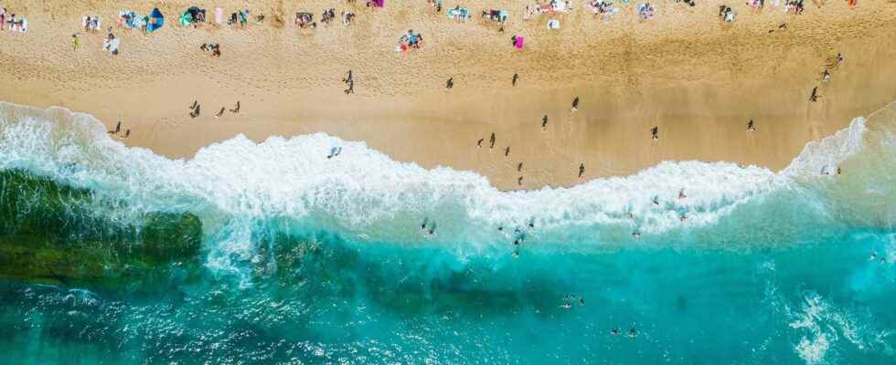 The Mediterranean Sea is too warm and marine biodiversity is