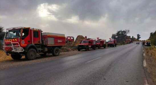 The death toll is increasing in forest fires in Algeria