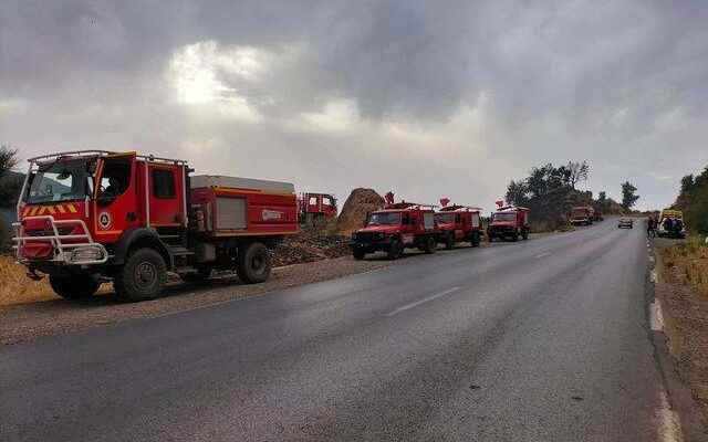 The death toll is increasing in forest fires in Algeria