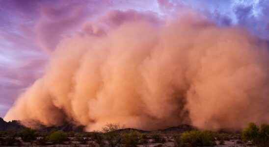 The mysterious valley fever would come from sandstorms