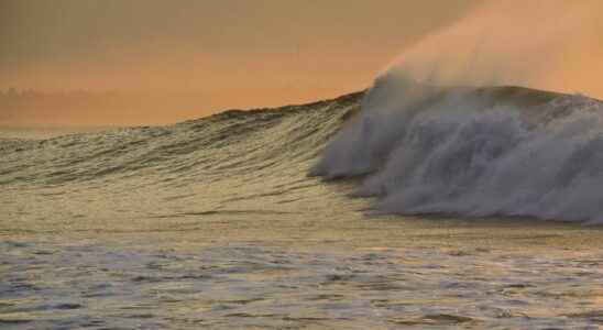 The wave created by the Hunga Tonga eruption was 9