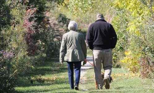 Wawanosh Wetland closing Aug 9 for trail upgrades