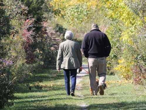 Wawanosh Wetland closing Aug 9 for trail upgrades