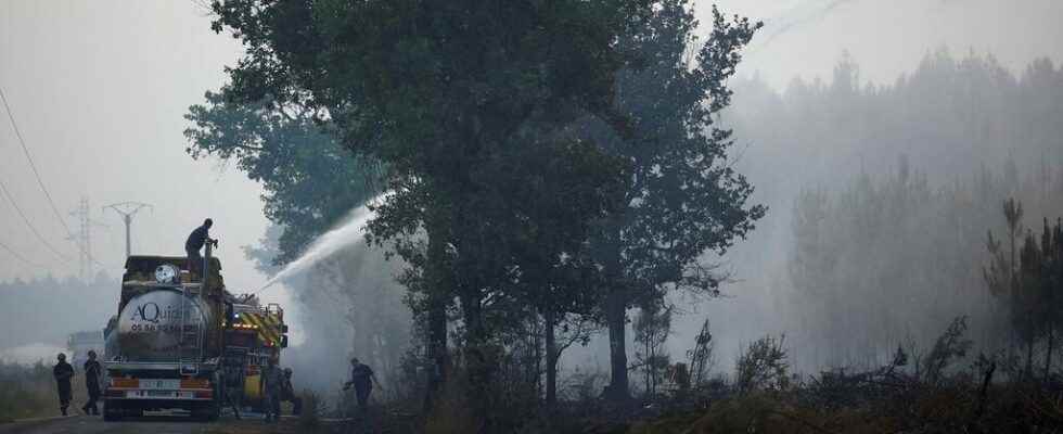 alongside the volunteers mobilized with the firefighters in the face