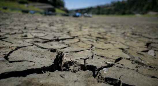 new peak of heat and increased drought