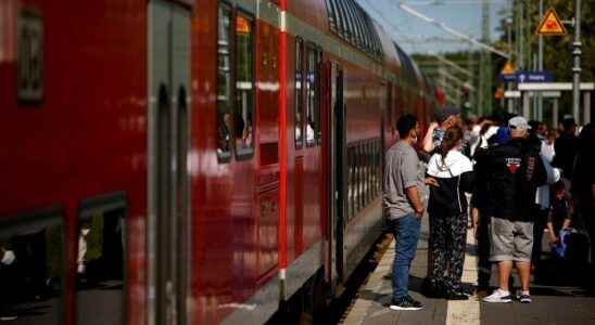 time for assessment and lessons around the nine euro train ticket