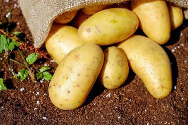 potatoes-1585075_1920