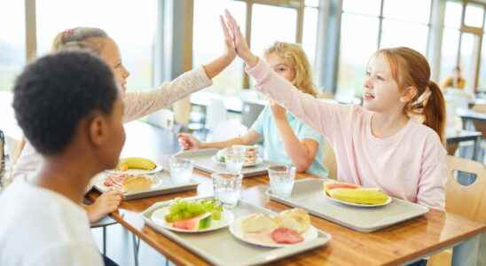 Canteens 2022 100 vegetarian meals in some schools