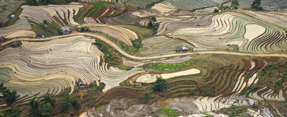 China faces record heat and drought