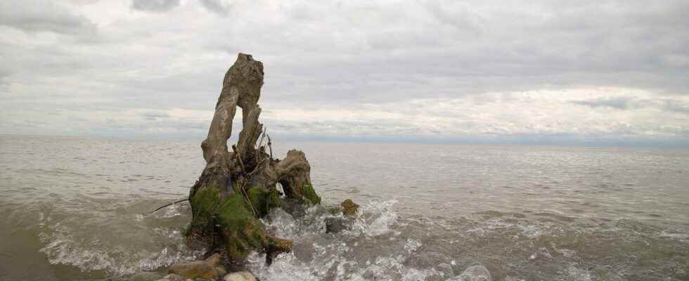 Dire impact if concerns over nutrient runoff into Lake Erie