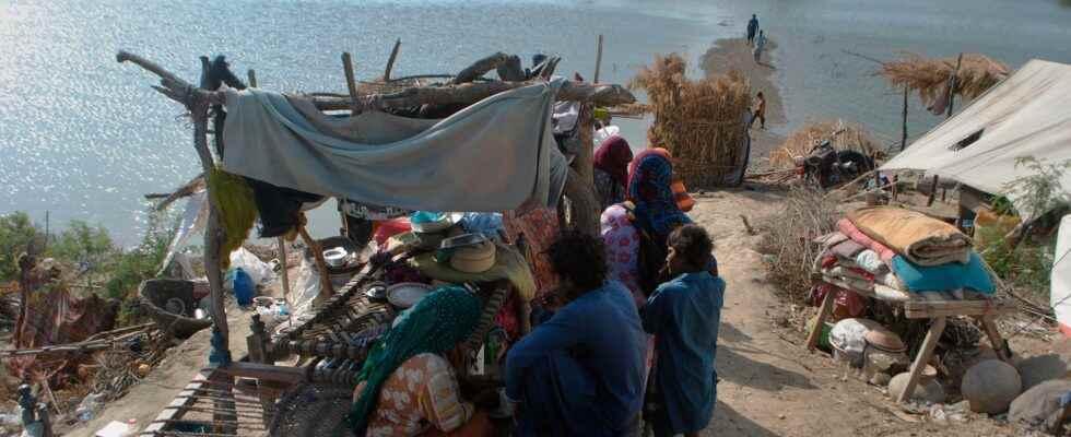 Disease crisis threatens flooded Pakistan