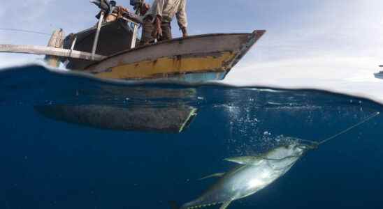 Faced with rising waters the inhabitants of an island take