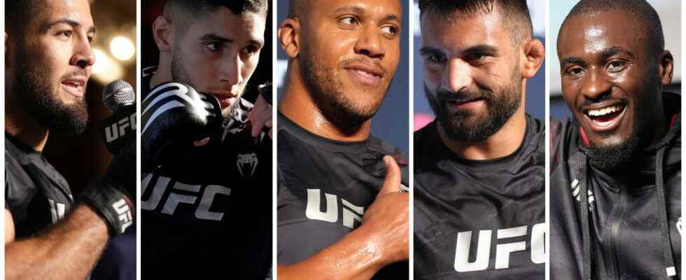 French MMA fighters in the spotlight