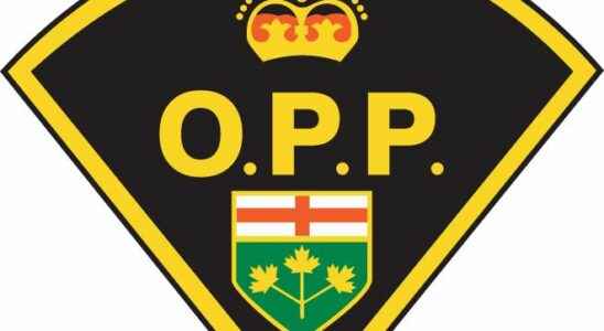 Gun toting man arrested on Simcoe trail