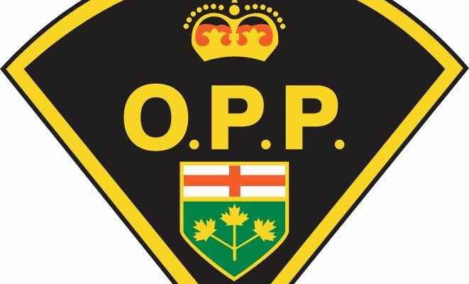 Gun toting man arrested on Simcoe trail