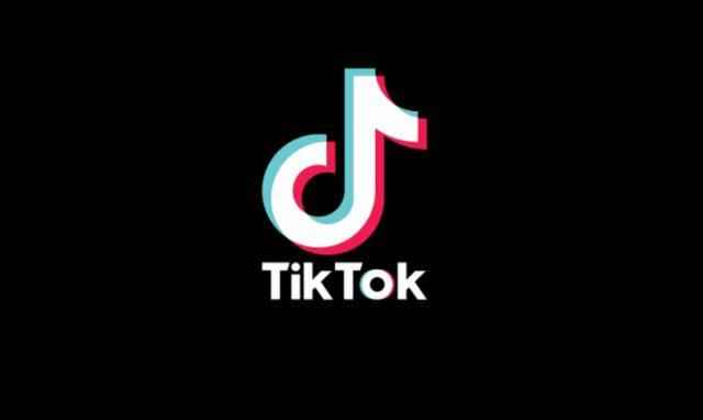 How much do TikTok influencers earn How to earn money