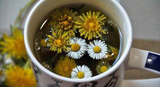 How to Prepare Chamomile Tea for a Comfortable Sleep