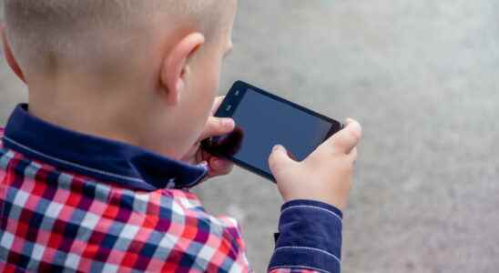 Internet decree for mandatory parental control