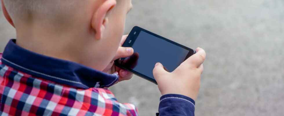 Internet decree for mandatory parental control