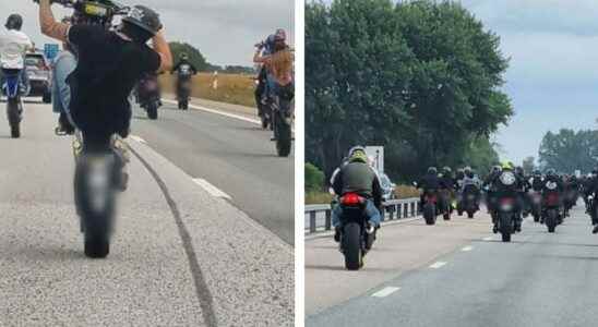 Loud Bastards drive carelessly and climb on the rear wheels