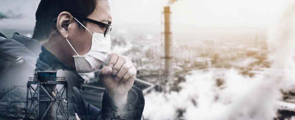 Lung cancer how does air pollution make us sick