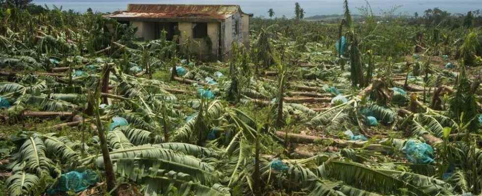 One dead in Guadeloupe after the passage of tropical storm