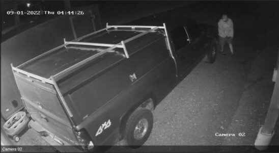 Public help sought in theft of pickup truck