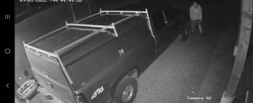 Public help sought in theft of pickup truck