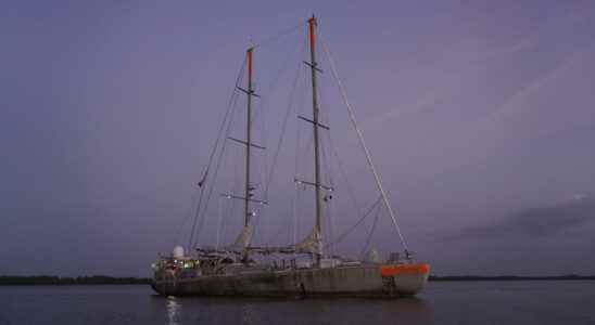 Senegal the last stage of the Tara Ocean Foundation laboratory