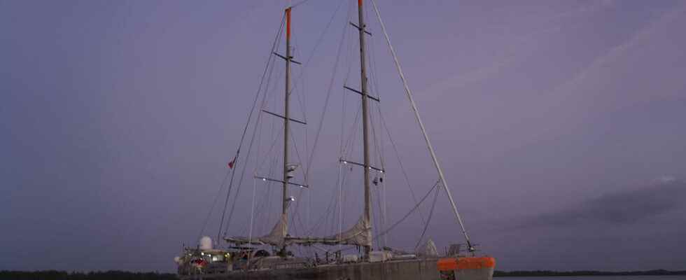 Senegal the last stage of the Tara Ocean Foundation laboratory