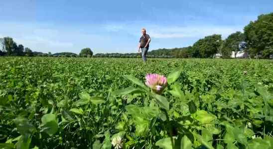 Simon from Driebergen is now an official organic farmer but