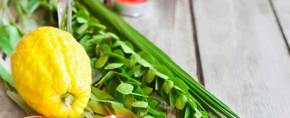 Sukkot 2022 Traditions During the Feast of the Huts