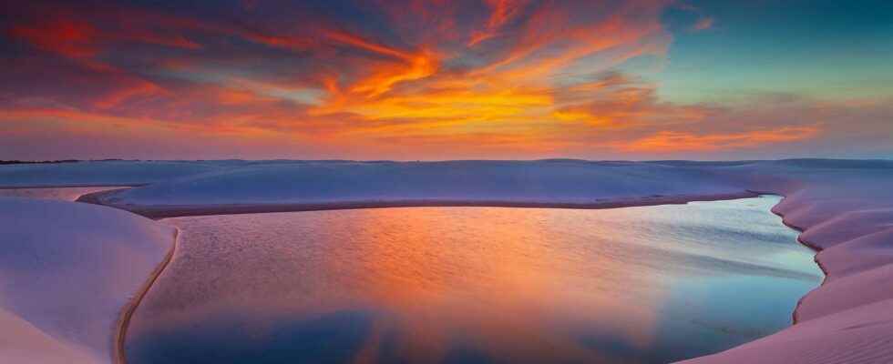 The Cerrado savannah Brazils other treasure to protect