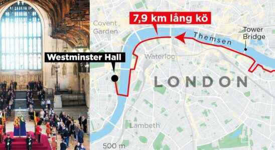 The eight kilometer queue for the Queens coffin is paused