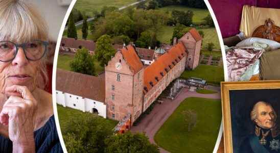 The ghost stories at Backaskog castle Panting field marshal