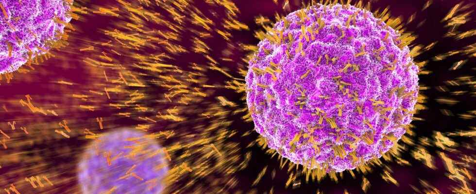 This neutralizing antibody attacks all known variants of the coronavirus