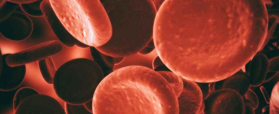 What are the different blood diseases