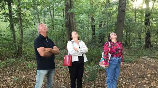 Will the Utrecht Markiezeneik at the A27 be tree of