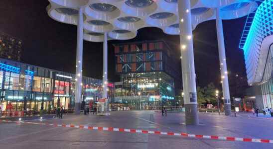 Wounded in Utrecht Central stabbing arrested police still looking for