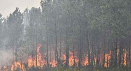 the fire still active in Saumos map of the advance