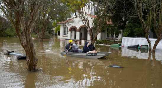 tree species threatened with extinction by summer rains