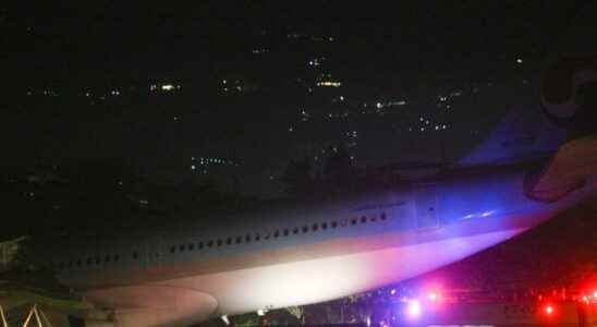 Aircraft skidded off runway on landing