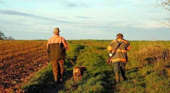 Hunting the government plans to create an offense of alcoholism