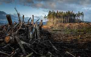 Italy climate change has cost 35 billion euros in 10