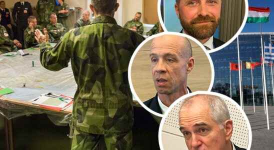 New demands on Sweden when we join NATO