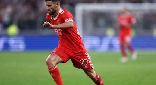 Porto Benfica winner in Porto Benfica soars in the